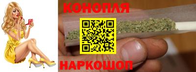 гидропоника Гатчина