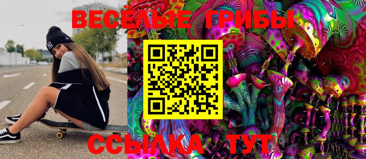 Псилоцибиновые грибы прущие грибы  Псилоцибиновые грибы ЛСД  Касимов 