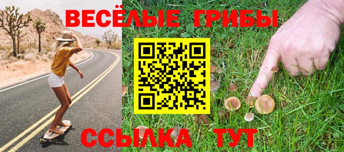 Псилоцибиновые грибы Magic Shrooms  Вход с VPN  Касимов 