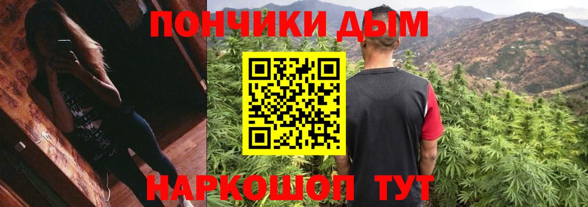 Каннабис план  Касимов  Конопля Bruce Banner  Канабис конопля 