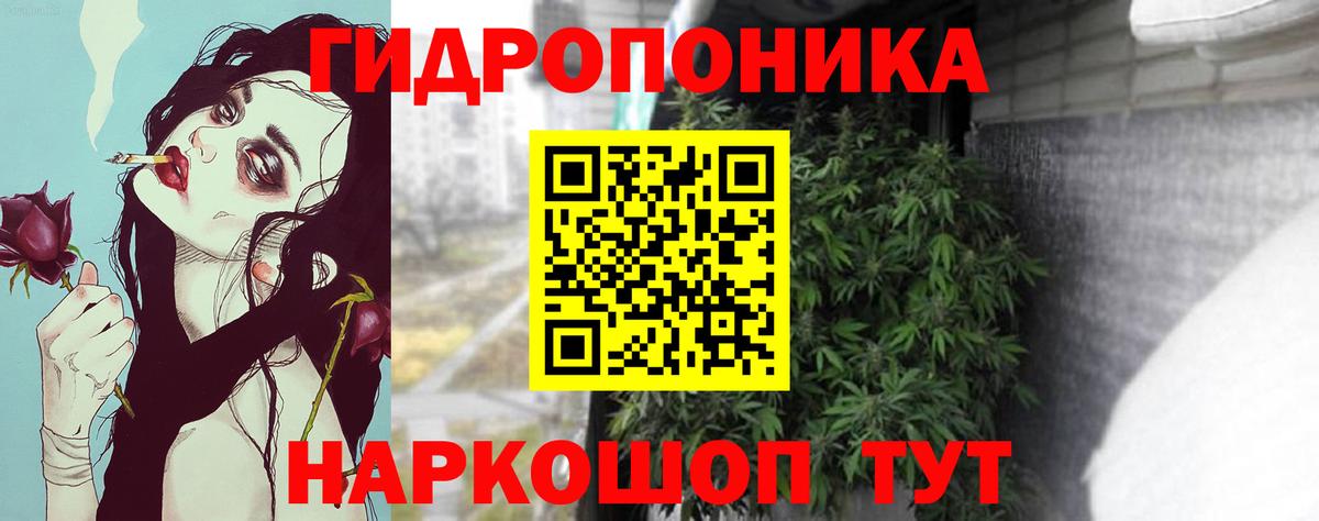 Конопля Ganja  МАРИХУАНА VHQ  Касимов  Марихуана семена  Шишки марихуана OG Kush  Вход с VPN 